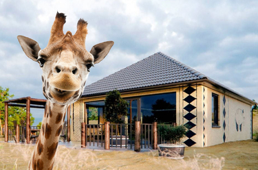 Safari Lodge de luxe à Beekse Bergen